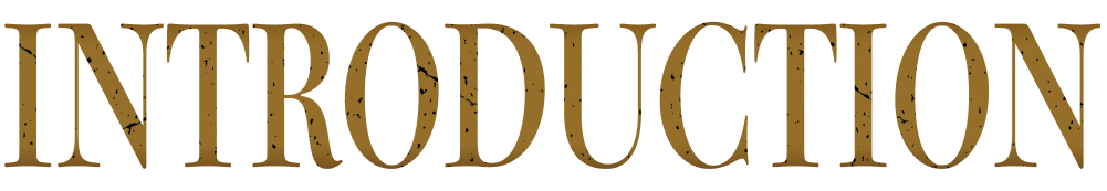 INTRODUCTION